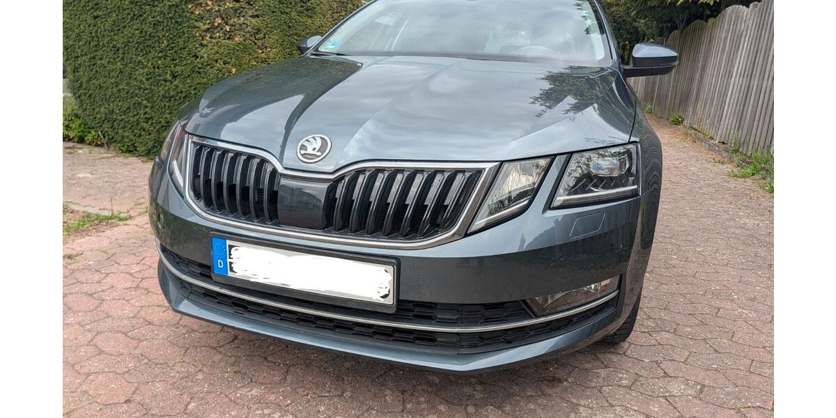 Skoda Octavia 96.000 km 15.890 &euro; Mainz 55127