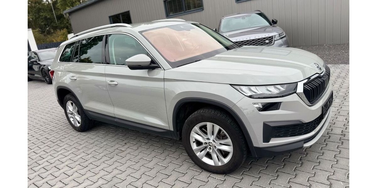 Skoda Kodiaq 102.900 km 29.900 &euro; Rüsselsheim 65428