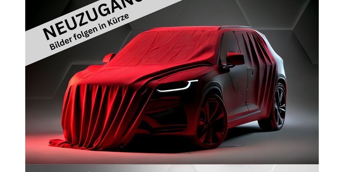 VW Golf 207.000 km 5.970 &euro; Helmstedt 38350