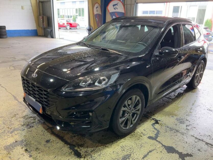 Kuga