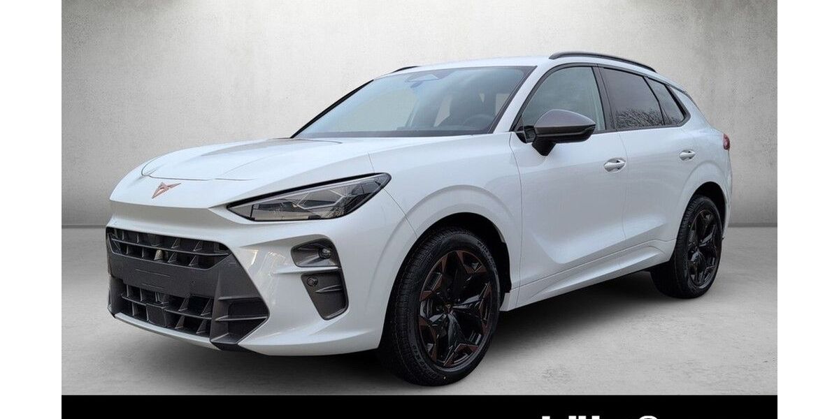 Cupra Terramar 9.999 km 37.690 &euro; Wiesbaden 65189