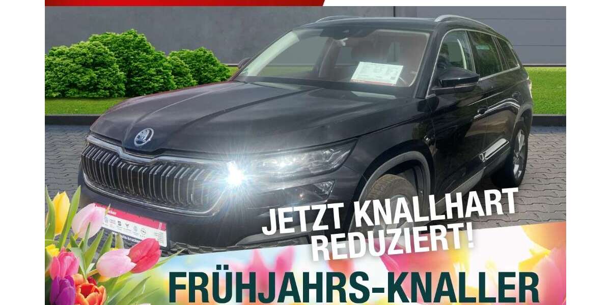 Skoda Kodiaq 109.694 km 31.870 &euro; Naila 95119
