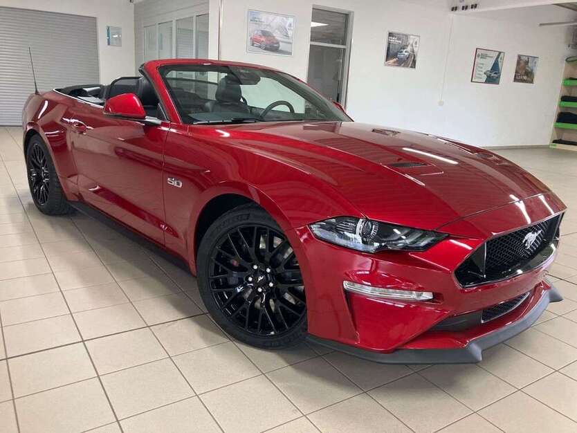 Mustang