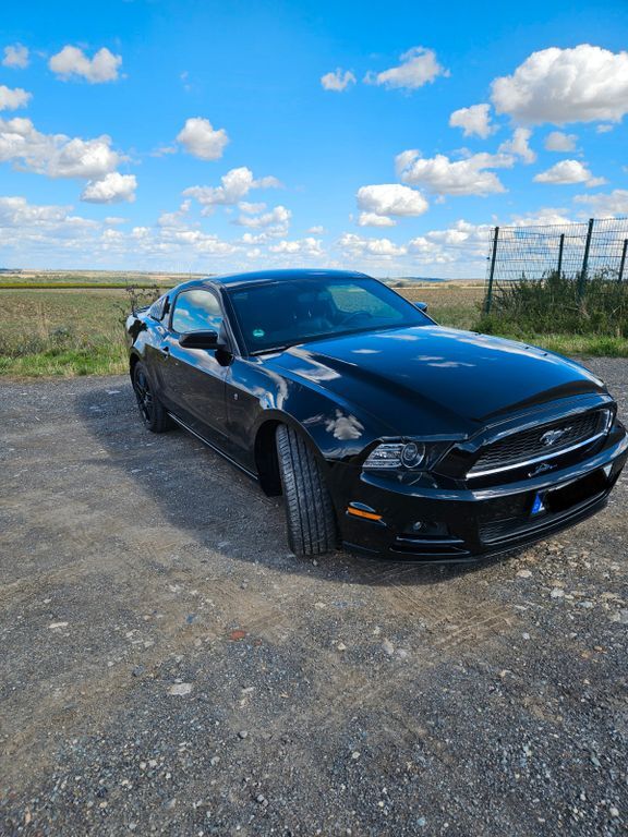 Mustang