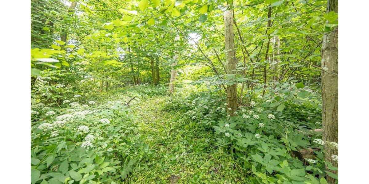 Einfamilienhaus Belum / Kehdingbruch Kehdingbruch - 3 Zimmer, 90 m&sup2;, 128.000&euro; | Angebot:26816384