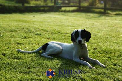 Großes Baugrundstück mit Altbestand im Zentrum von Germering in ruhiger Lage zimmer