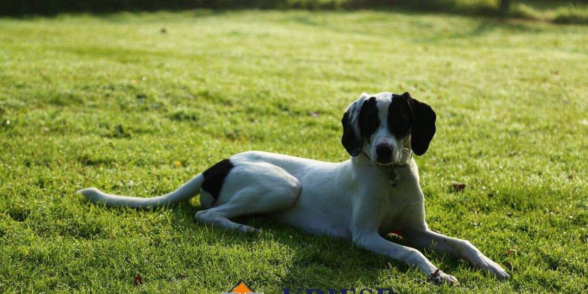 Großes Baugrundstück mit Altbestand im Zentrum von Germering in ruhiger Lage zimmer