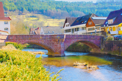 Haus Wildberg - 21 Zimmer, 813 m&sup2;, 1.180.000&euro; | Angebot:24548472