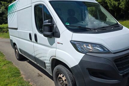 Fiat Ducato 186.950 km 11.900 &euro; Altenkirchen 57610