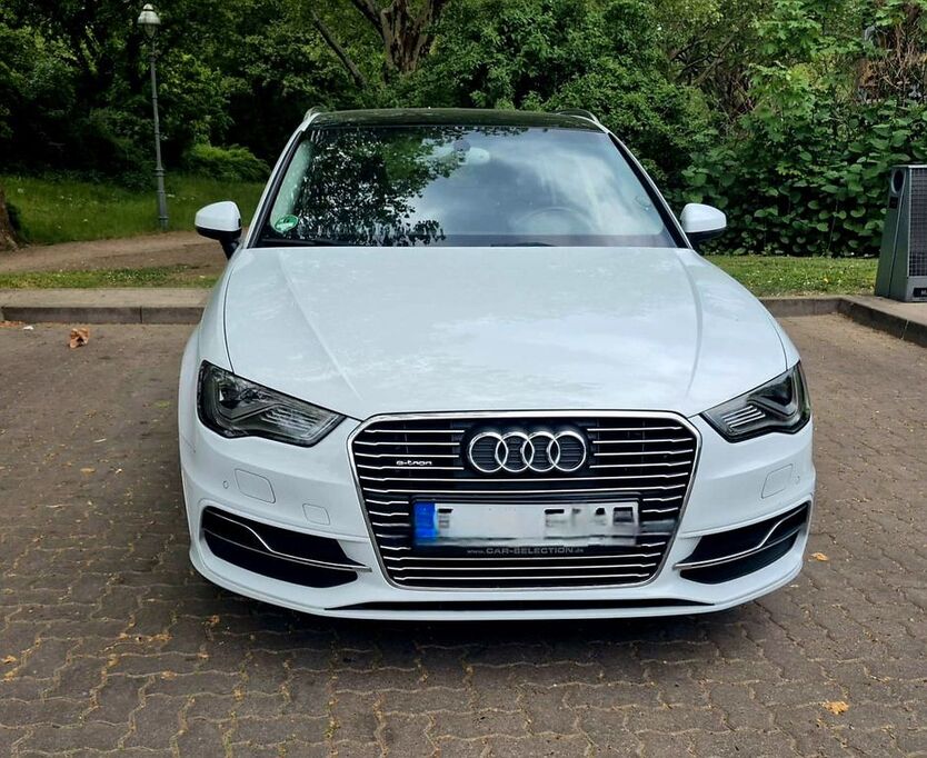 A3