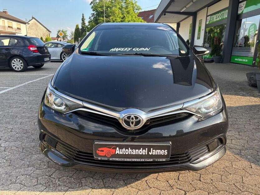 Auris