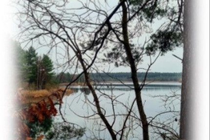 Helle, freundliche 3 Raumwohnung im Top Zustand zu vermieten 3 zimmer