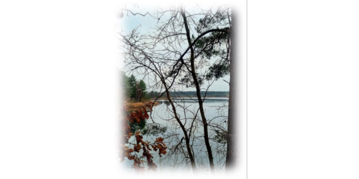 Helle, freundliche 3 Raumwohnung im Top Zustand zu vermieten 3 zimmer