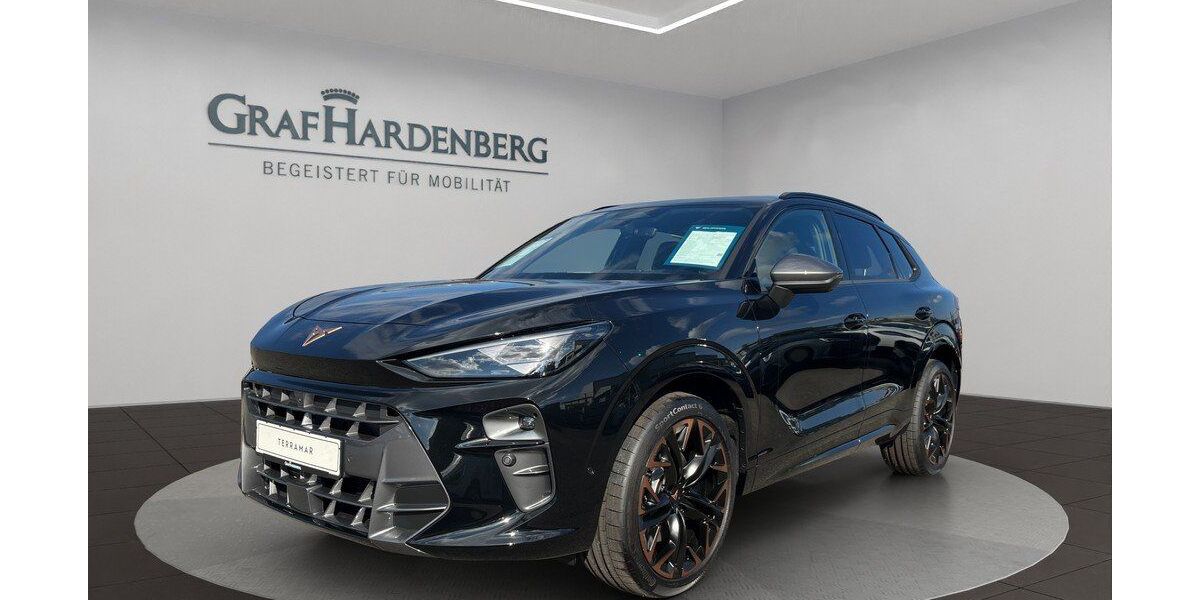 Cupra Terramar 14.000 km 42.990 &euro; Radolfzell 78315