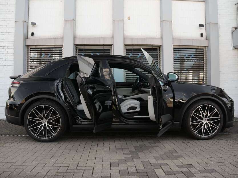 Macan