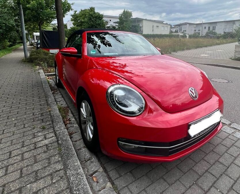 Beetle