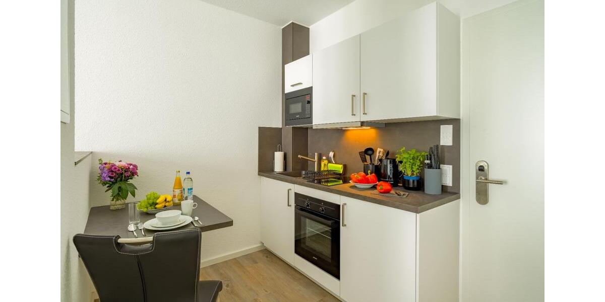 Wohnen auf Zeit Aschaffenburg Damm - 1 Zimmer, 21 m&sup2;, 795&euro; | Angebot:9965822