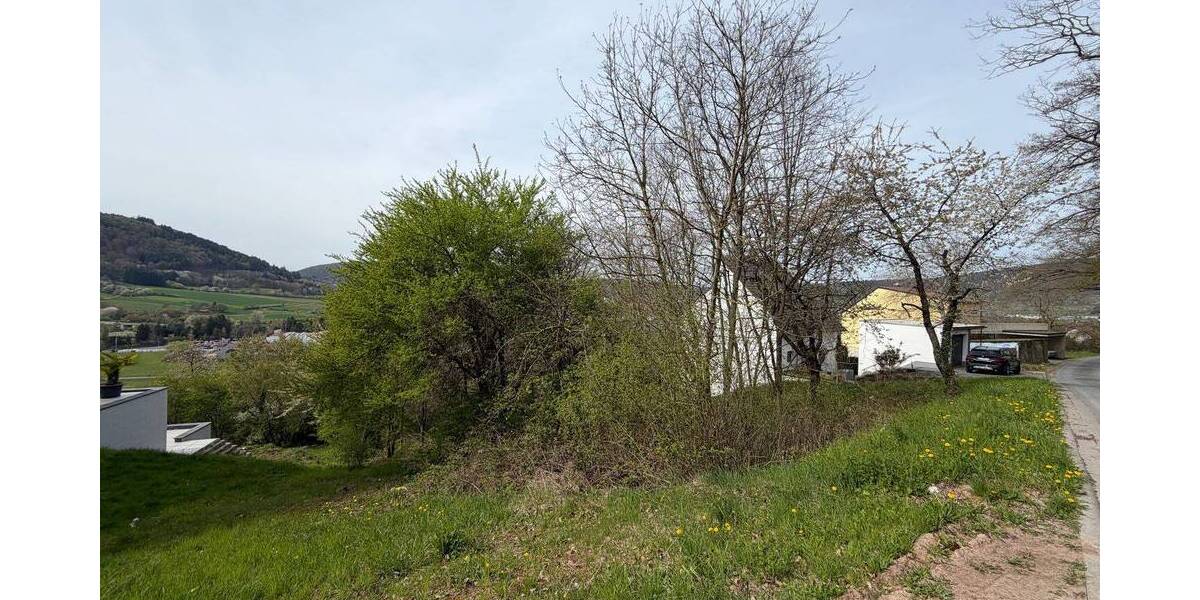 Grundstück Miltenberg Breitendiel - 200.000&euro; | Angebot:26204113