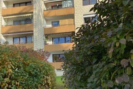 Von Privat: neu renovierte, helle, gut geschnittene 3-Zi. Wohnung 3 zimmer