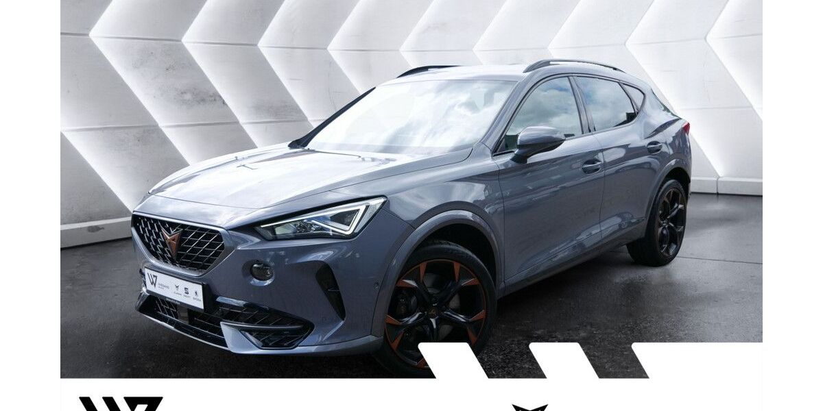 Cupra Formentor 65.118 km 28.341 &euro; Büdingen-Düdelsheim 63654