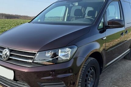 VW Caddy 40.000 km 22.999 &euro; Wolfenbüttel 38300