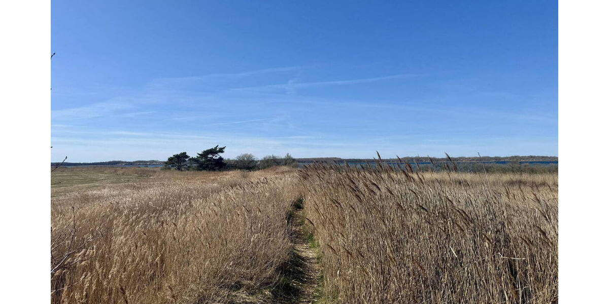 Grundstück Am Salzhaff- Teßmannsdorf Teßmannsdorf - 136.500&euro; | Angebot:25752189