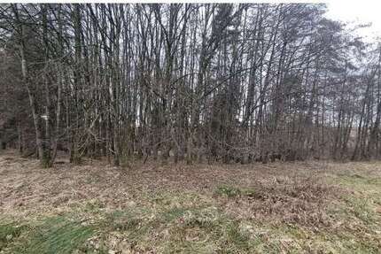 Grundstück Windorf - 26.160&euro; | Angebot:25483840