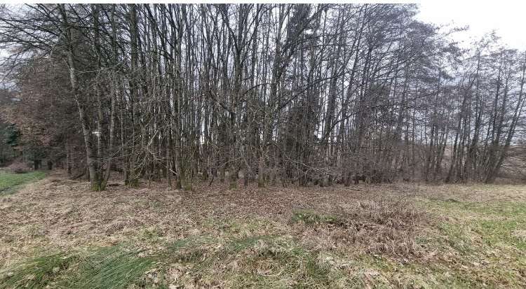 Grundstück Windorf - 26.160&euro; | Angebot:25483840