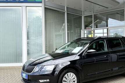 Skoda Octavia 137.500 km 14.890 € Lohne 49393
