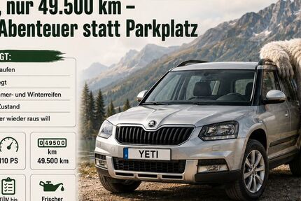 Skoda Yeti 49.300 km 11.400 &euro; Berlin 10318