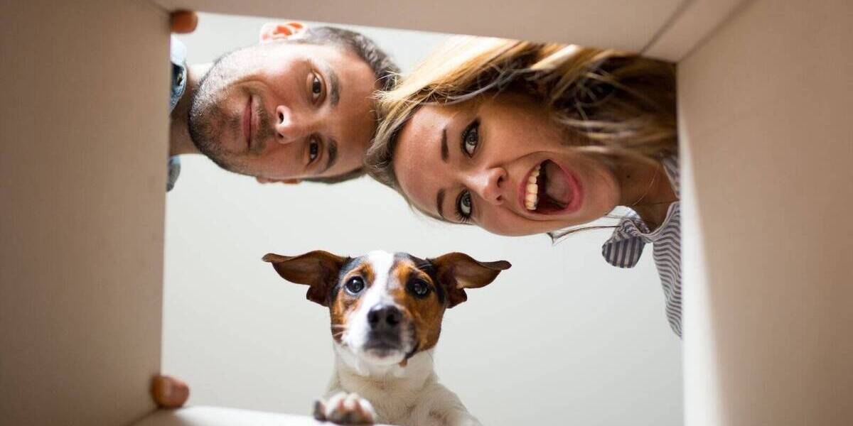 Einfamilienhaus Dohna Gorknitz - 3 Zimmer, 91 m&sup2;, 178.999&euro; | Angebot:26331262