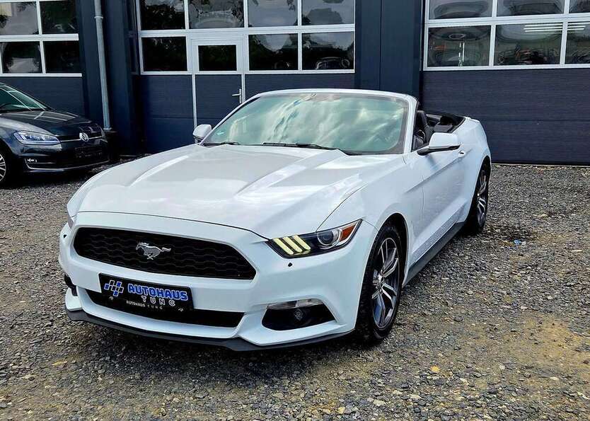 Mustang