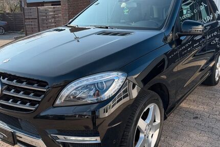 Mercedes-Benz ML 250 234.211 km 13.900 &euro; Leck 25917