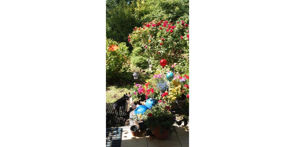 Erdgeschoßwohnung Berlin Charlottenburg-Wilmersdorf - 4 Zimmer, 126 m&sup2;, 1.000.000&euro; | Angebot:25069381