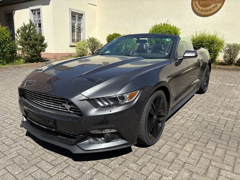 Mustang