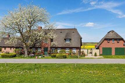 Haus Pellworm - 6 Zimmer, 170 m&sup2;, 590.000&euro; | Angebot:25212933