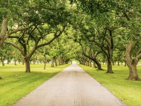 Etagenwohnung Leipzig Schönefeld-Abtnaundorf - 4 Zimmer, 141 m&sup2;, 790.000&euro; | Angebot:26343604