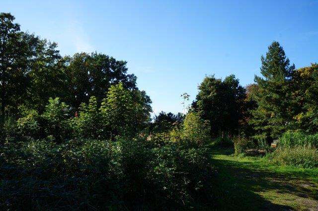 Grundstück zu verkaufen in Wismar 795.000 € 5960 m²