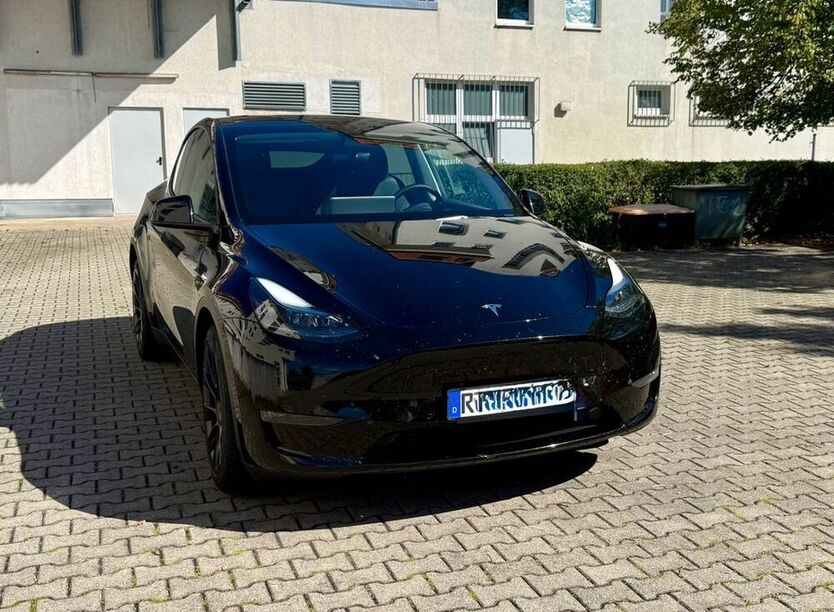 Model Y