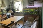 Doppelhaushälfte Holle - 4 Zimmer, 120 m&sup2;, 950&euro; | Angebot:26225559