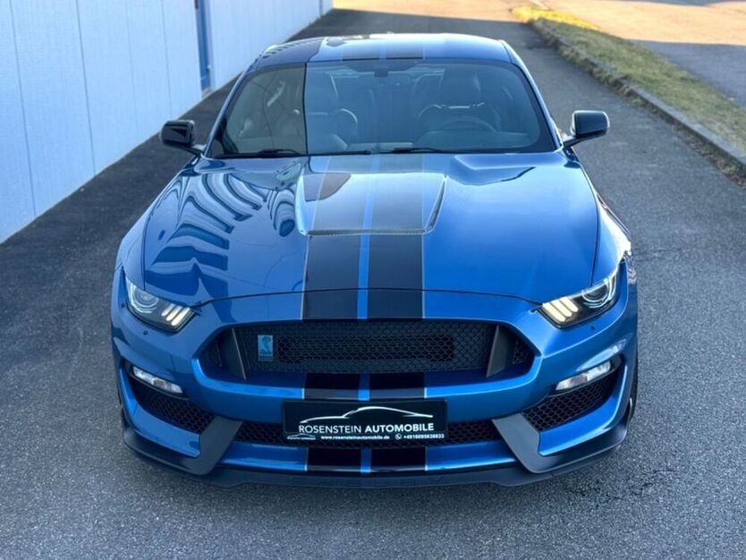 Mustang