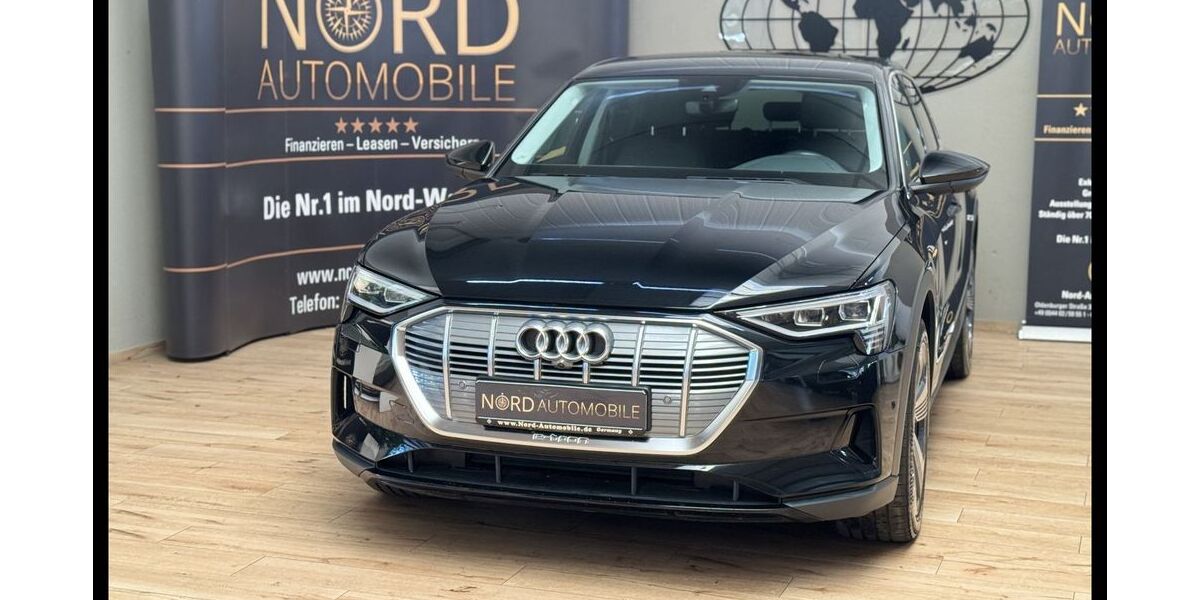 Audi e-tron 96.200 km 31.490 &euro; Rastede/ Wahnbek 26180