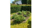 Bungalow Schwerin Gartenstadt - 1 Zimmer, 60 m&sup2;, 150.000&euro; | Angebot:27417856