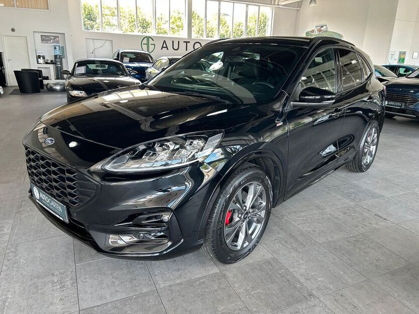 Kuga