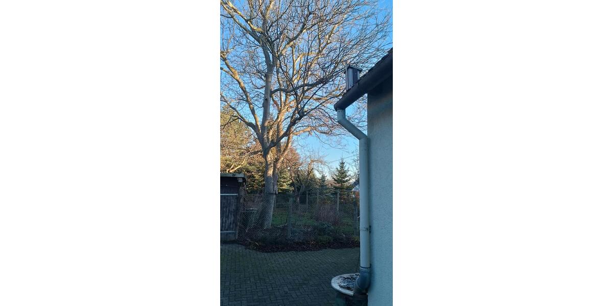 Doppelhaushälfte Löbau - 5 Zimmer, 90 m&sup2;, 51.000&euro; | Angebot:26847389