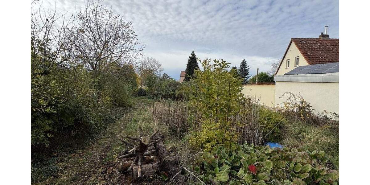 Grundstück Wiedemar - 125.000&euro; | Angebot:25738934