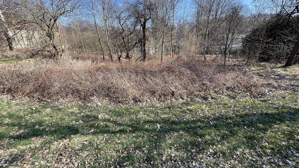Grundstück Beiersdorf - 35.000&euro; | Angebot:25704845