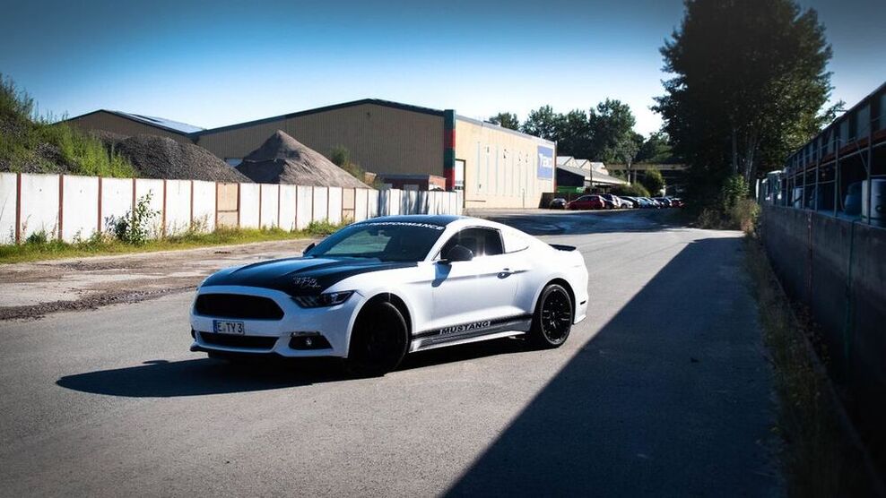 Mustang
