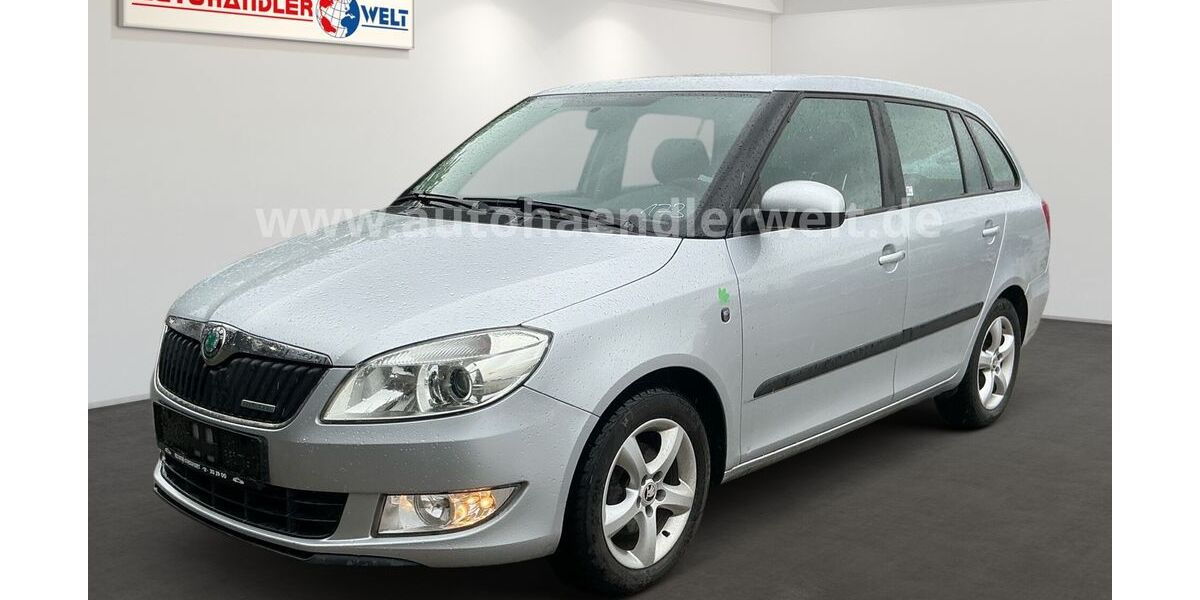 Skoda Fabia 173.450 km 2.499 &euro; Brehna 06796