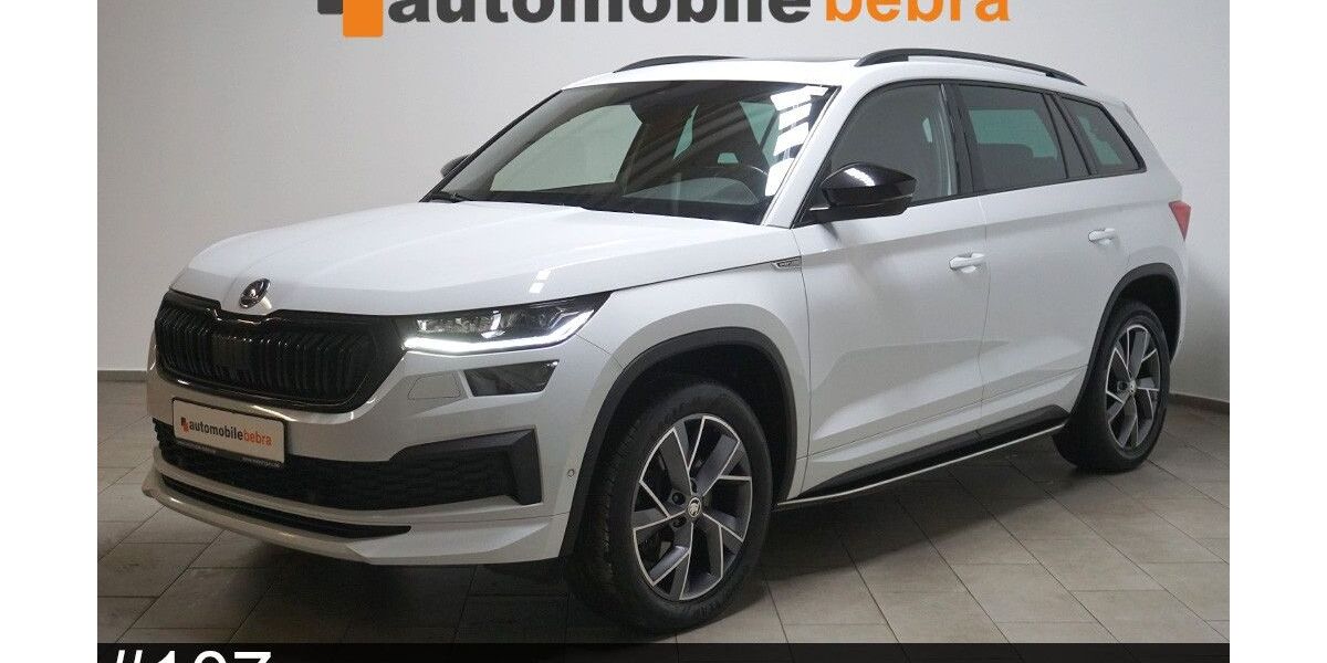 Skoda Kodiaq 182.094 km 27.990 &euro; Bebra 36179